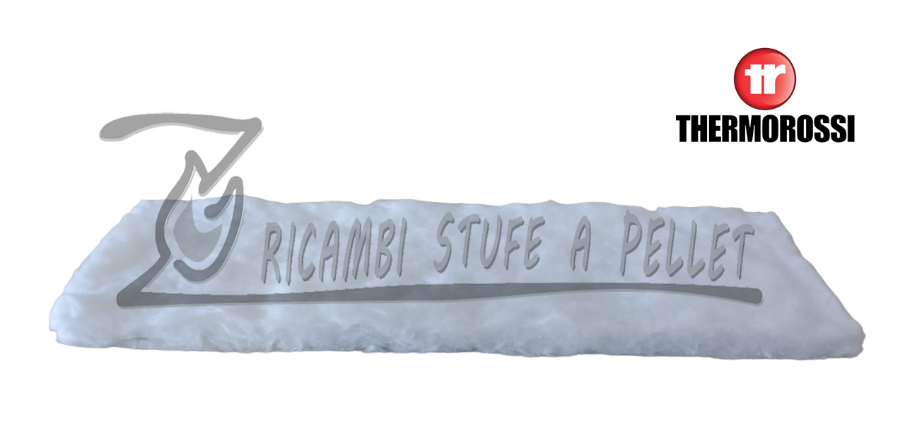Guarnizione posteriore - 60011474